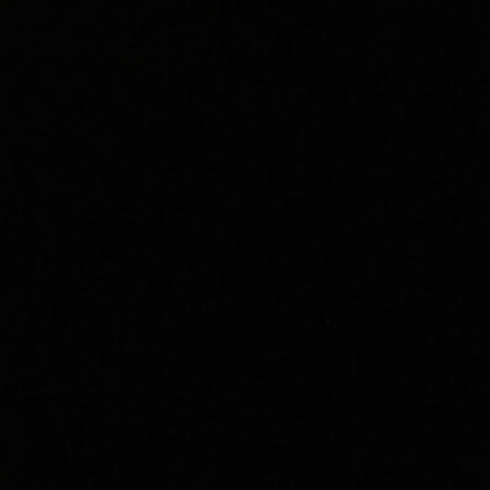 Meet your Posher, Sophia